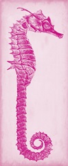 Seahorse Blueprint II