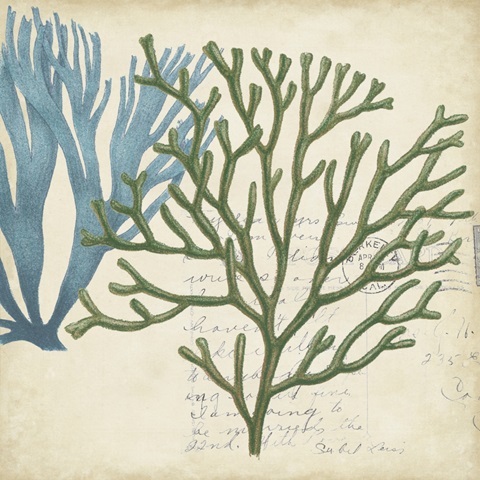 Seaweed Overlay I