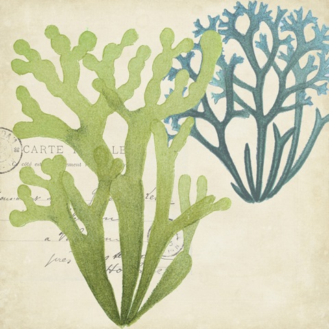 Seaweed Overlay II
