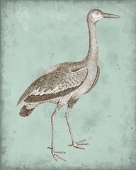 Sepia and Spa Heron I
