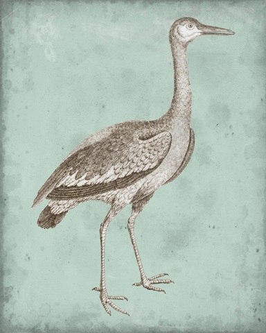 Sepia and Spa Heron I