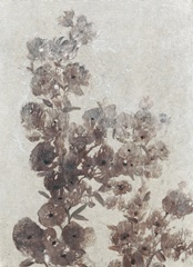 Sepia Flower Study I