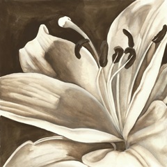 Sepia Lily I