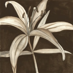 Sepia Lily II