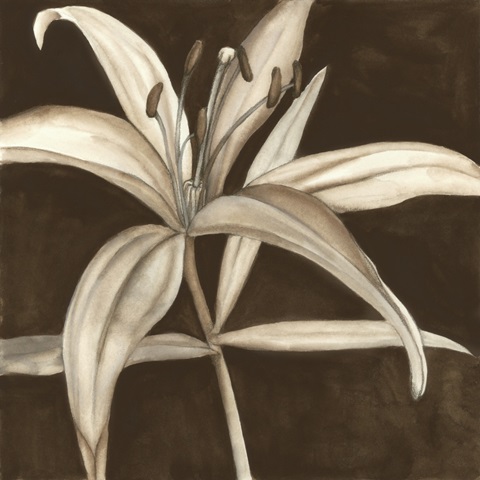 Sepia Lily II