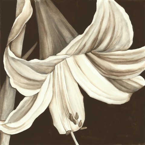 Sepia Lily III