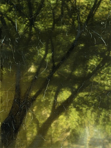 Shaded Reflection II