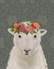 Sheep Bohemian 1