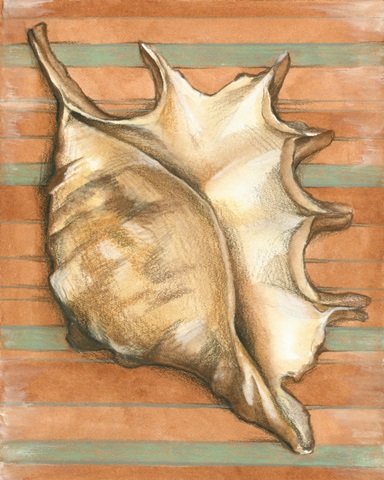 Shell on Stripes II