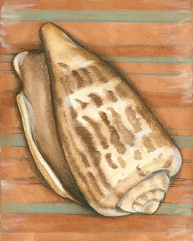 Shell on Stripes III