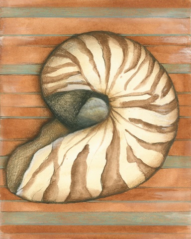 Shell on Stripes IV