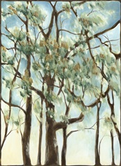 Shenandoah Sunrise I