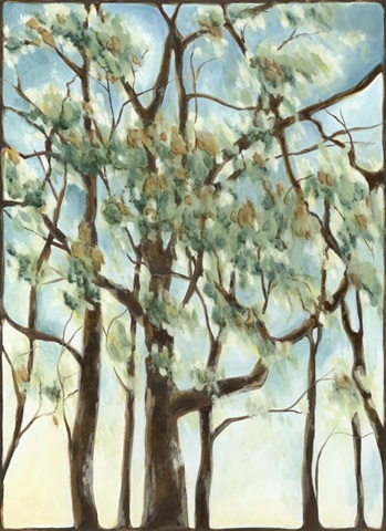 Shenandoah Sunrise I