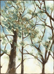 Shenandoah Sunrise II