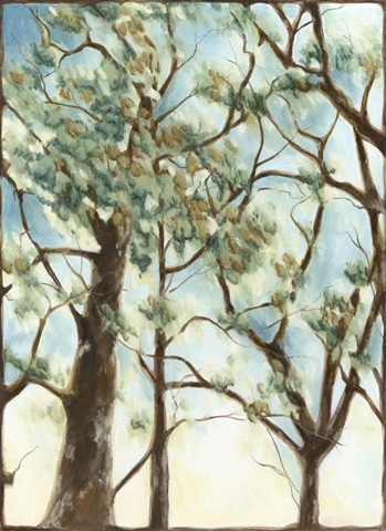 Shenandoah Sunrise II