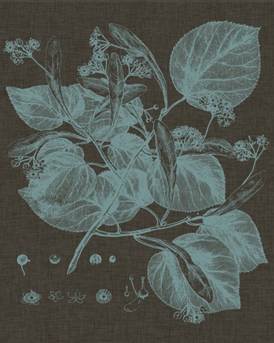 Shimmering Leaves II