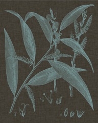 Shimmering Leaves IV