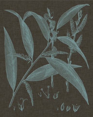 Shimmering Leaves IV