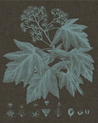 Shimmering Leaves VIII