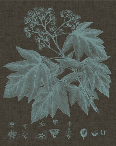 Shimmering Leaves VIII