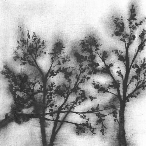 Silvery Trees II