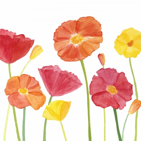 Simply Poppies II