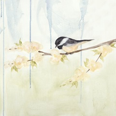 Spring Chickadees III