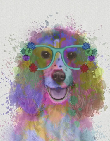 Springer Spaniel Rainbow Splash