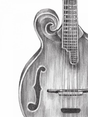 Stringed Instrument Study II