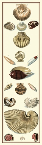 Studies in Symmetry Panel I