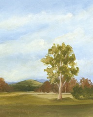 Summer Horizons VI
