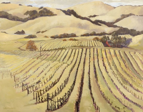 Summer Vineyard