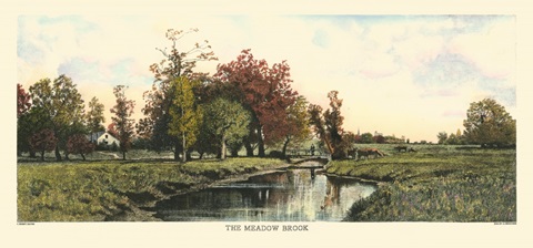 The Meadow Brook