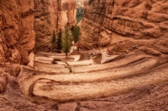 The Switchbacks