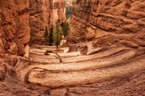 The Switchbacks