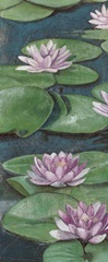 Tranquil Lilies I