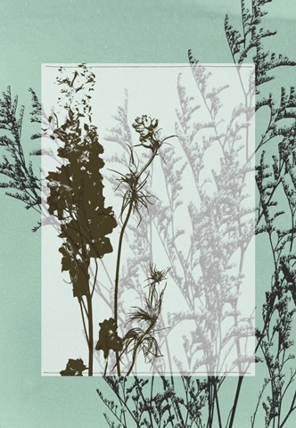 Translucent Wildflowers I