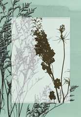 Translucent Wildflowers II