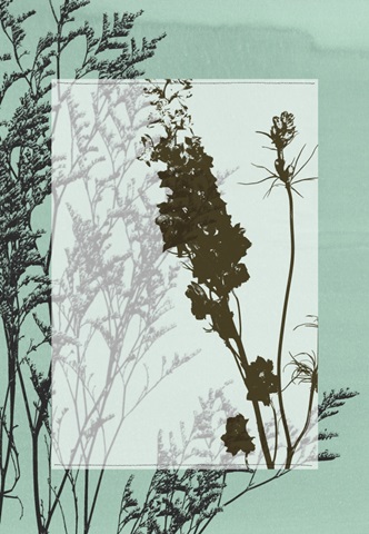 Translucent Wildflowers II