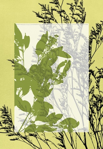 Translucent Wildflowers III