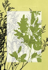 Translucent Wildflowers IV