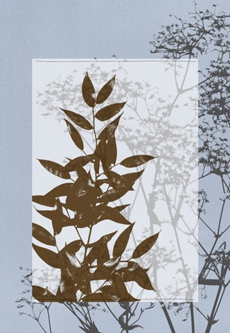 Translucent Wildflowers V