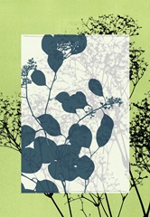 Translucent Wildflowers VII