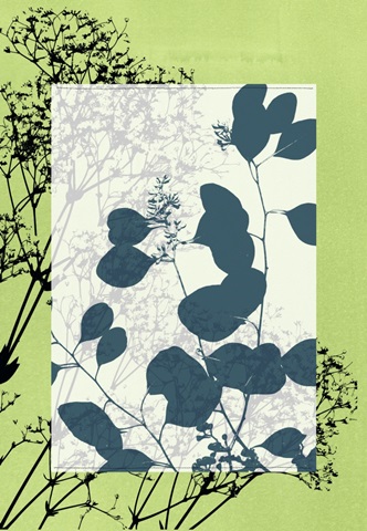 Translucent Wildflowers VIII