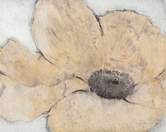 Transparency Flower IV