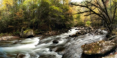 Tremont Panorama III