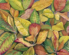 Tropical Close Up II