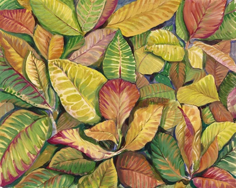 Tropical Close Up II