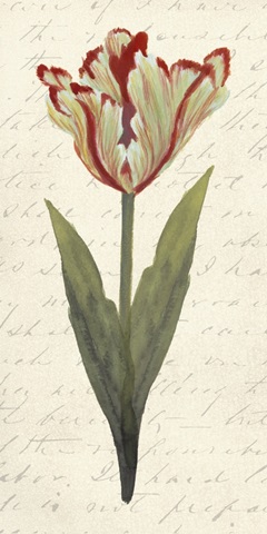 Twin Tulips I