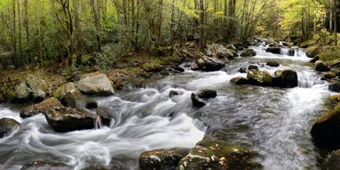 Up the Creek Panorama